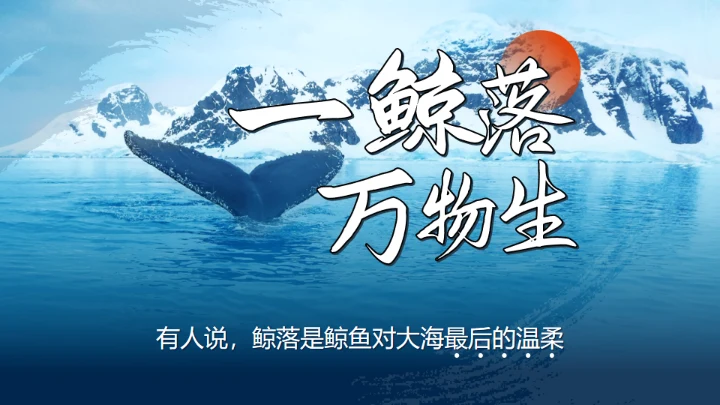 鲸落万物生鲸鱼知识讲座通用PPT模板