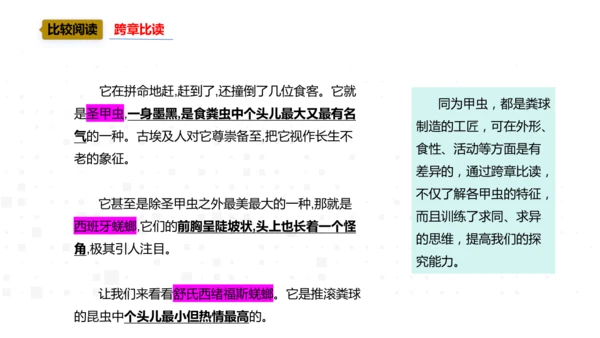 八年级上册语文 第五单元 名著导读《昆虫记》导读 课件