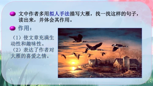 19《大雁归来》课件
