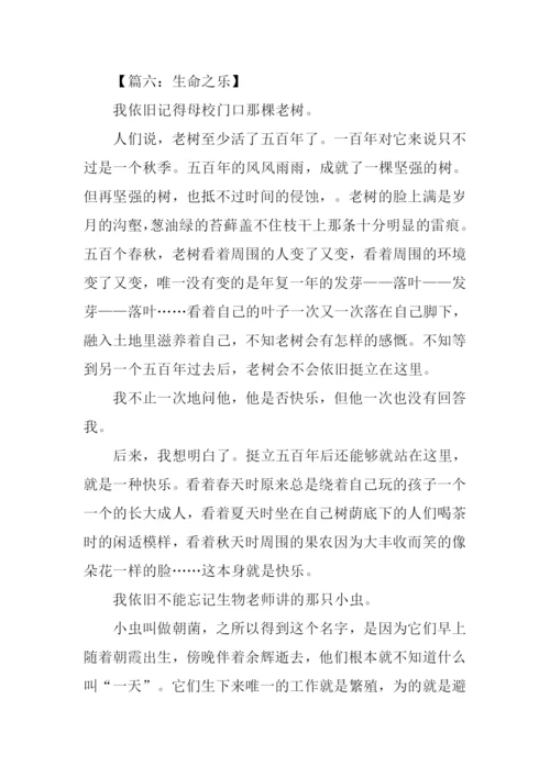 什么之乐作文.docx