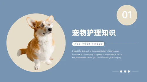 蓝金欧美风物健康护理培训模板PPT模板