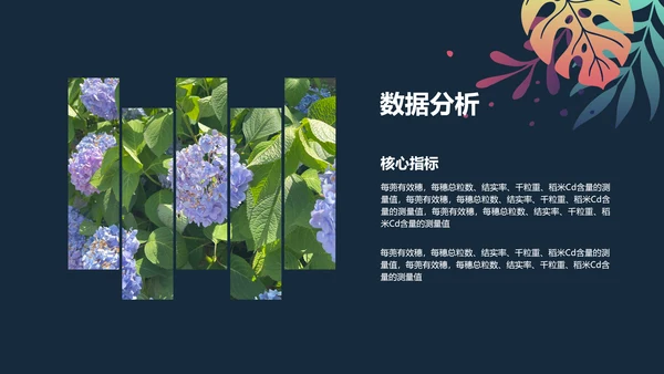 手绘插画风植物与污染研究总结报告