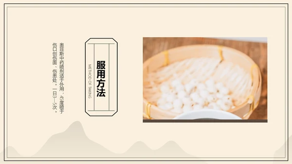 中国风中医药医疗保健产品介绍