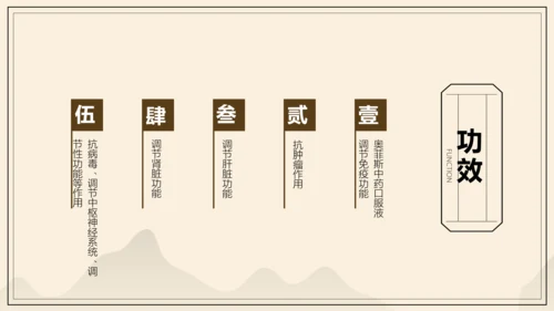 中国风中医药医疗保健产品介绍