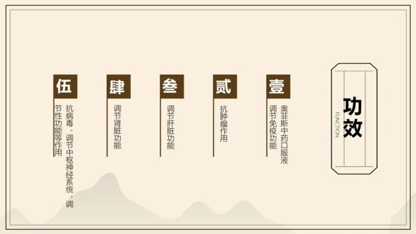 中国风中医药医疗保健产品介绍