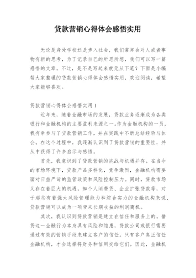 贷款营销心得体会感悟实用.docx