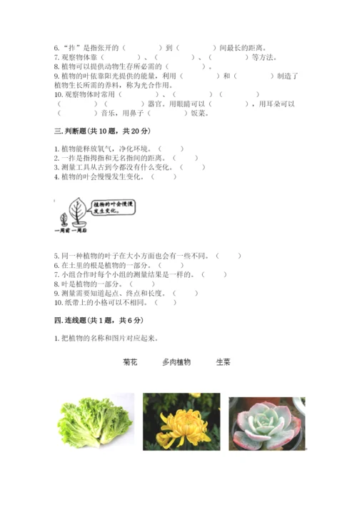 教科版一年级上册科学期末测试卷（能力提升）.docx