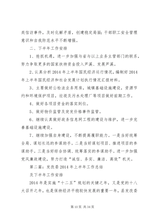 某某县发改委上半年工作总结及下半年工作安排计划.docx