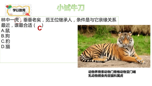 人教版生物七年级上册2.4.2《生物分类的方法——从种到界》课件(共26张PPT)