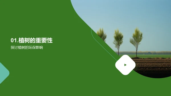 种树美化环境