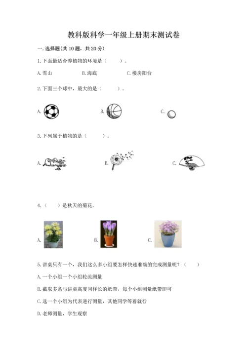 教科版科学一年级上册期末测试卷及1套参考答案.docx