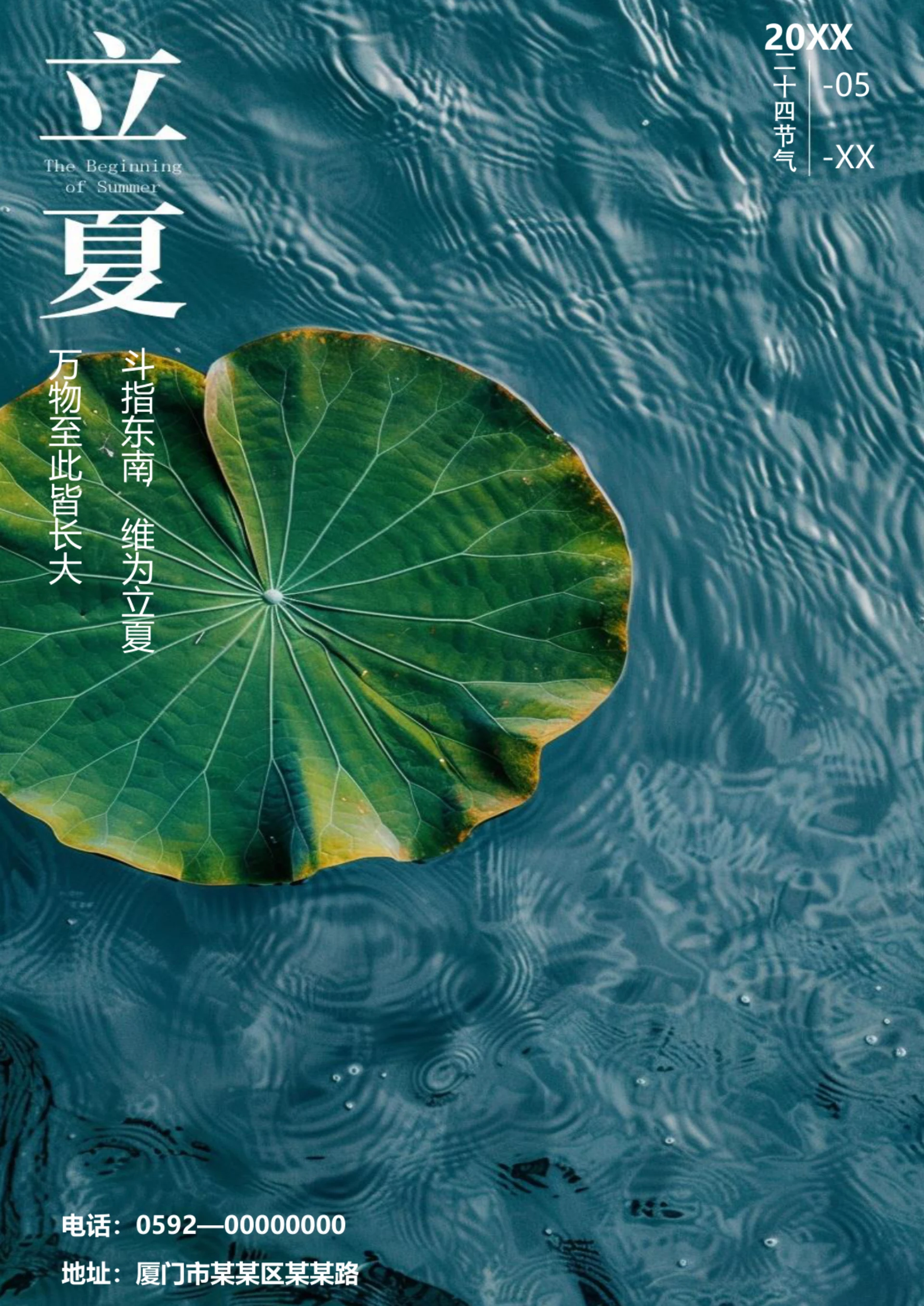 唯美荷叶背景立夏节气海报