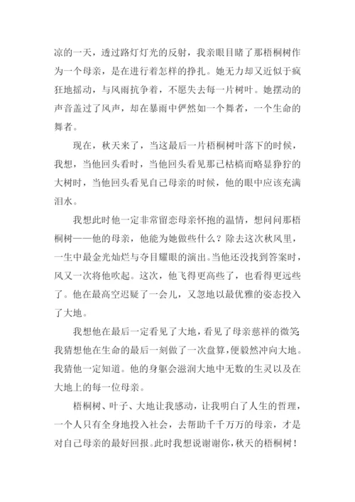 写秋天梧桐树的作文.docx