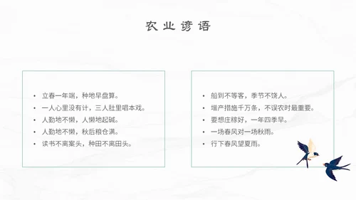 白色简约小清新传统二十四节气立春主题PPT模板