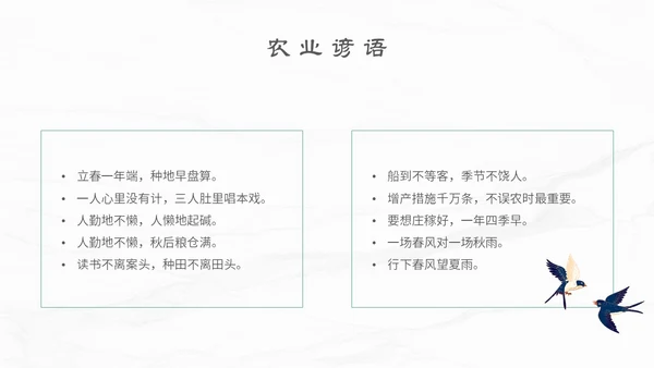 白色简约小清新传统二十四节气立春主题PPT模板