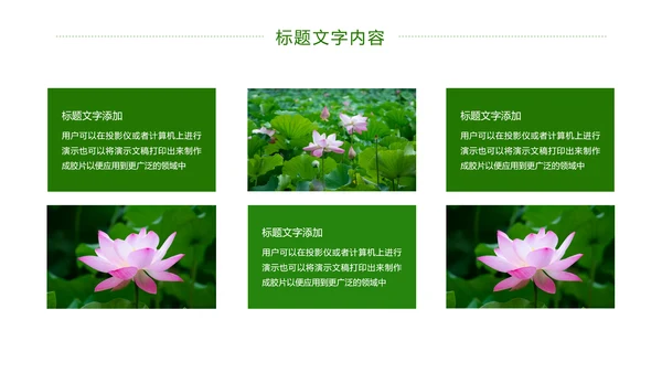 绿色唯美荷花廉政工作总结汇报PPT模板