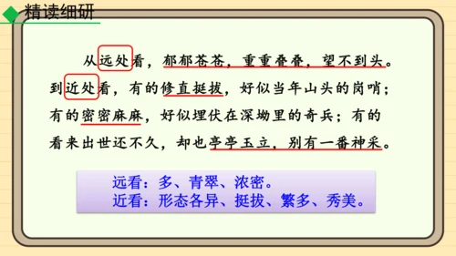 20 井冈翠竹 课件