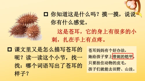 3 植物妈妈有办法  课件