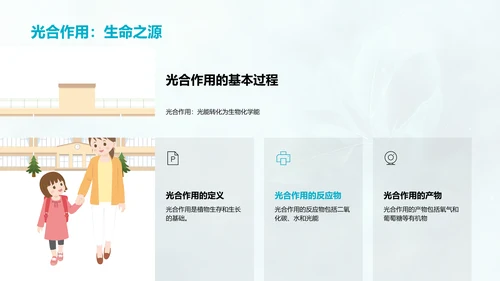 生物教学光合作用解析