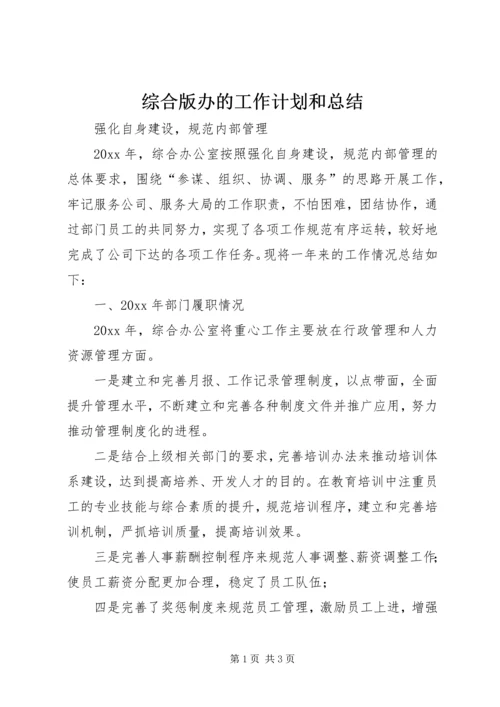 综合版办的工作计划和总结.docx