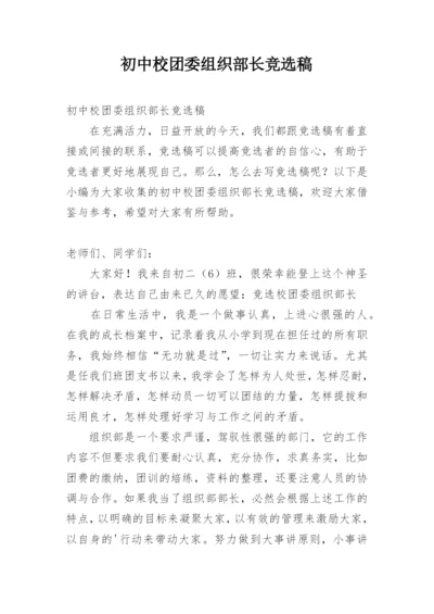 初中校团委组织部长竞选稿.docx