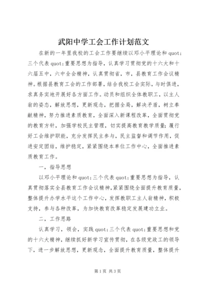 武阳中学工会工作计划范文.docx