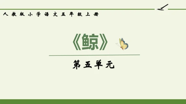 部编版 五年级语文上册第五单元习作例文 《鲸》（课件）