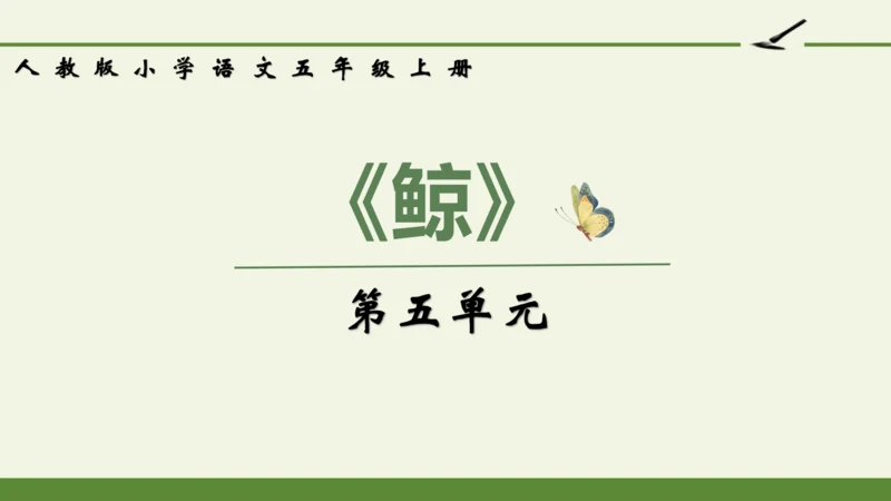 部编版 五年级语文上册第五单元习作例文 《鲸》（课件）