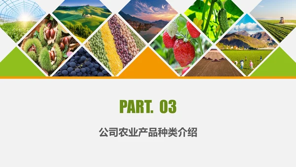 水果蔬菜农业招商农产品宣传通用PPT模板