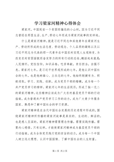 学习梁家河精神心得体会 (4).docx