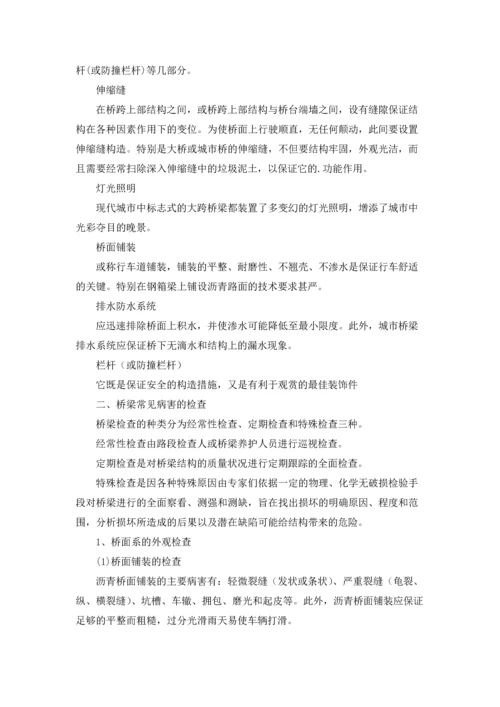 桥的认识实习报告集合七篇.docx
