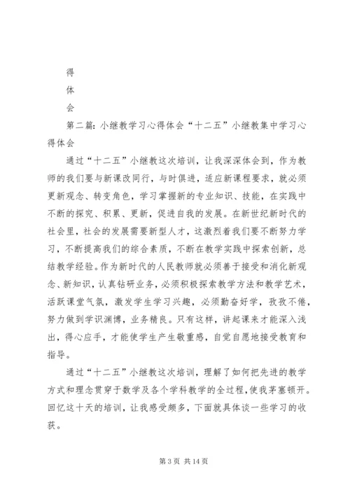 小继教学习心得体会.docx