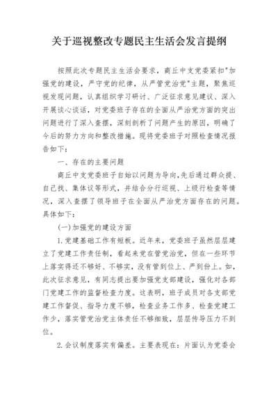 关于巡视整改专题民主生活会发言提纲.docx