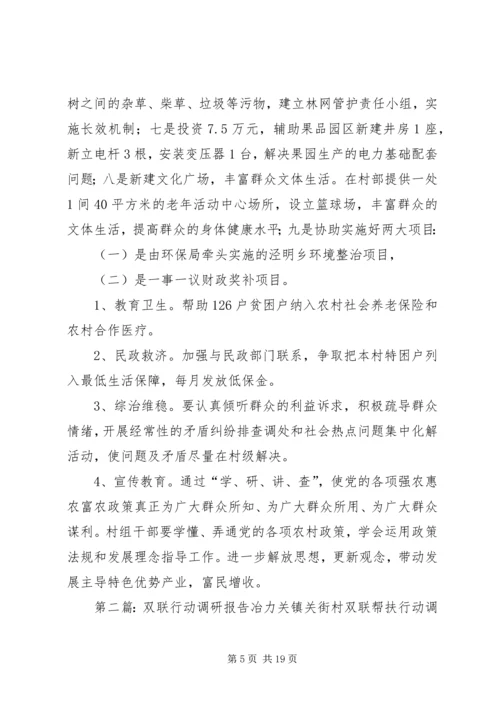 县政府白玉“双联”行动调研报告2.docx