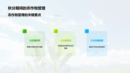 秋分气象与农业