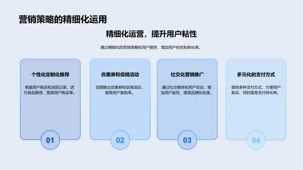 电商金融平台实践策略PPT模板