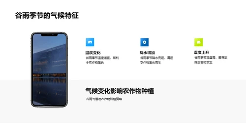谷雨季节农作指南