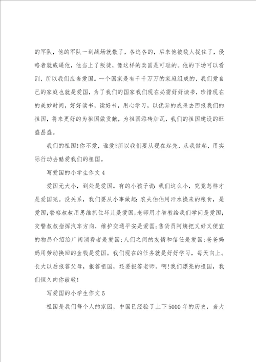 写爱国的小学生作文5篇优选范例