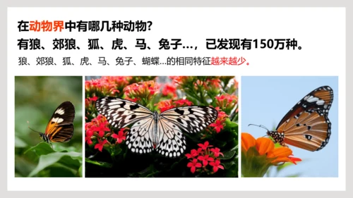 6.1.2+从种到界-【互动课堂】八年级生物上册精品课件（人教版）(共20张PPT)