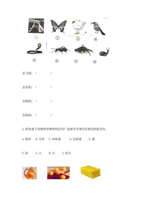 教科版一年级下册科学期末测试卷【历年真题】.docx