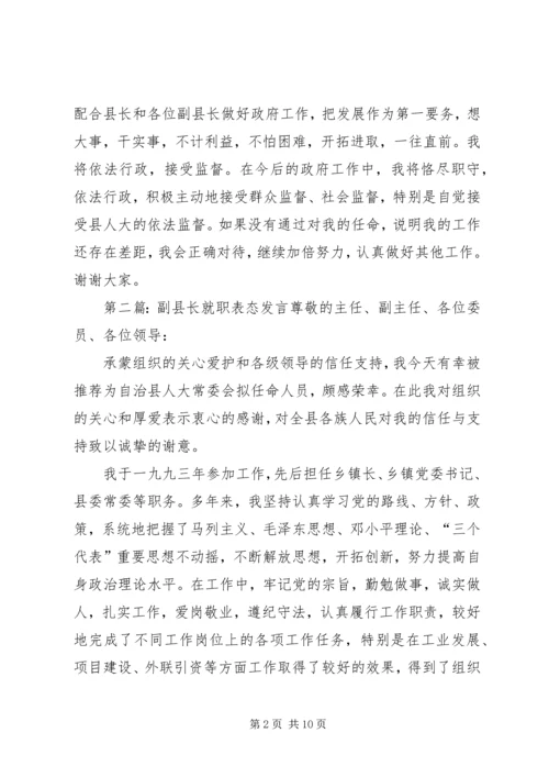 副县长履职表态发言_1.docx