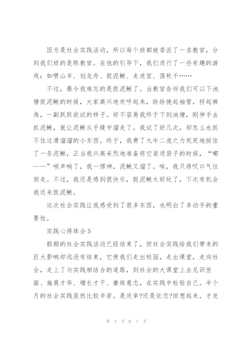 有关实践心得体会文章5篇.docx