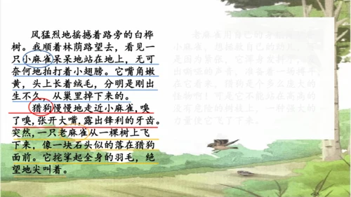 第16课《麻雀》课件