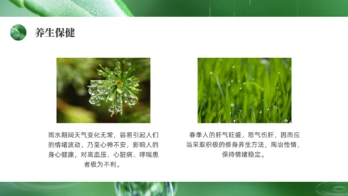 雨水绿色露水背景通用PPT模板