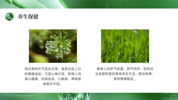 雨水绿色露水背景通用PPT模板