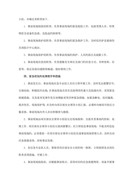 应急组织救援预案.docx