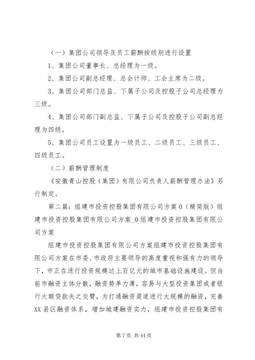 青山控股集团组建方案(定稿).docx