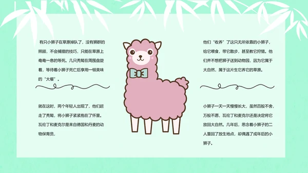 大熊猫国际野生动物保护日PPT模板