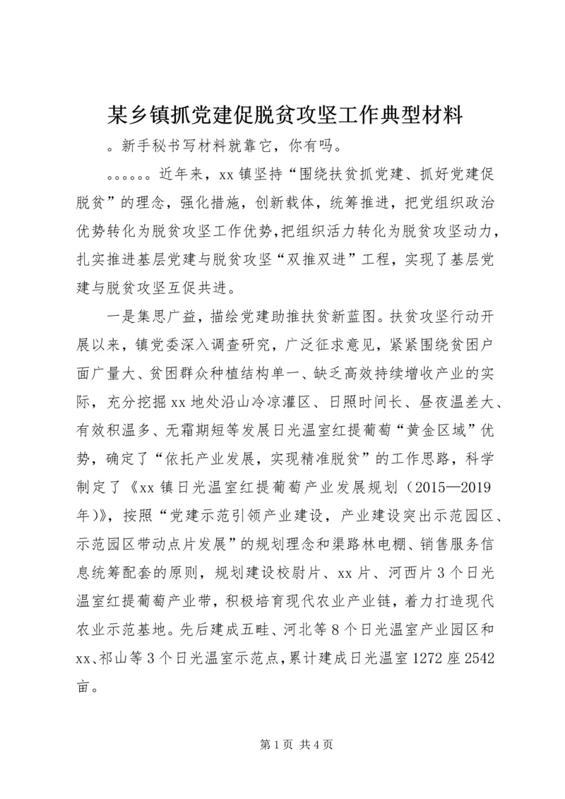 某乡镇抓党建促脱贫攻坚工作典型材料.docx