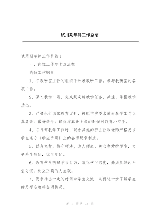 试用期年终工作总结.docx